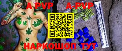 ешки Кингисепп