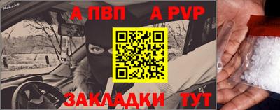 ешки Кингисепп
