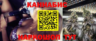 ешки Кингисепп