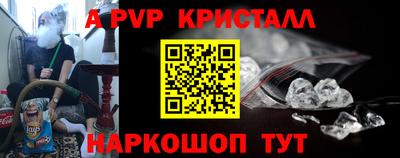 ешки Кингисепп