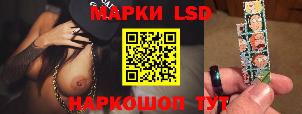 Гатчина  ЛСД экстази  Вход с VPN  ЛСД экстази кислота  ЛСД экстази кислота 